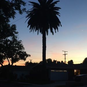 Meet your Posher, Henry